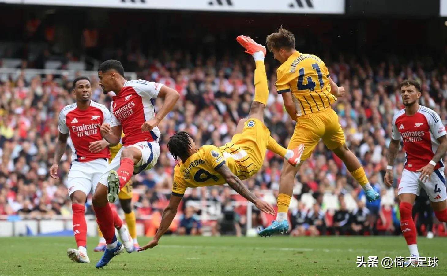 体的流行隐 体的流行隐